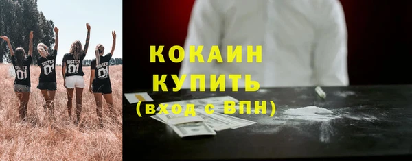 ПСИЛОЦИБИНОВЫЕ ГРИБЫ Магас