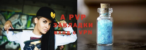 ПСИЛОЦИБИНОВЫЕ ГРИБЫ Магас