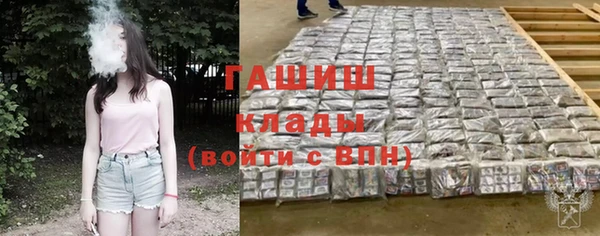 ПСИЛОЦИБИНОВЫЕ ГРИБЫ Магас