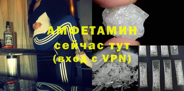 ПСИЛОЦИБИНОВЫЕ ГРИБЫ Магас