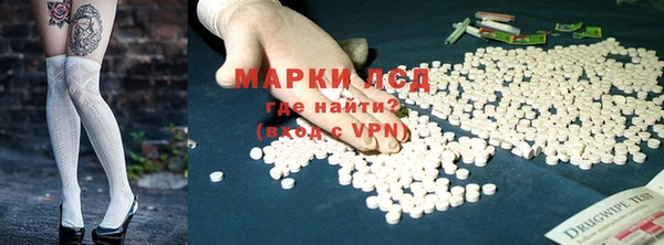 ПСИЛОЦИБИНОВЫЕ ГРИБЫ Магас