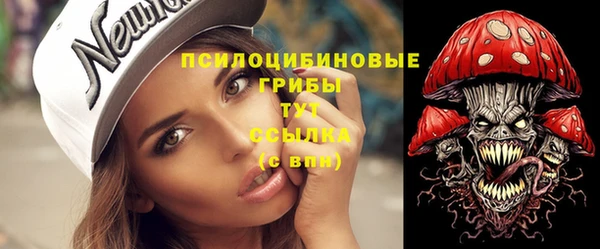 ПСИЛОЦИБИНОВЫЕ ГРИБЫ Магас