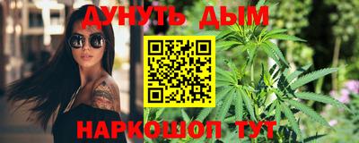 стафф Гатчина