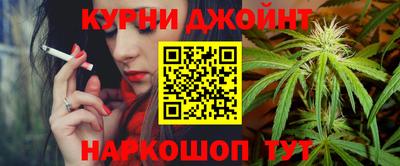 стафф Гатчина