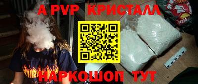 стафф Гатчина