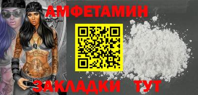 стафф Гатчина